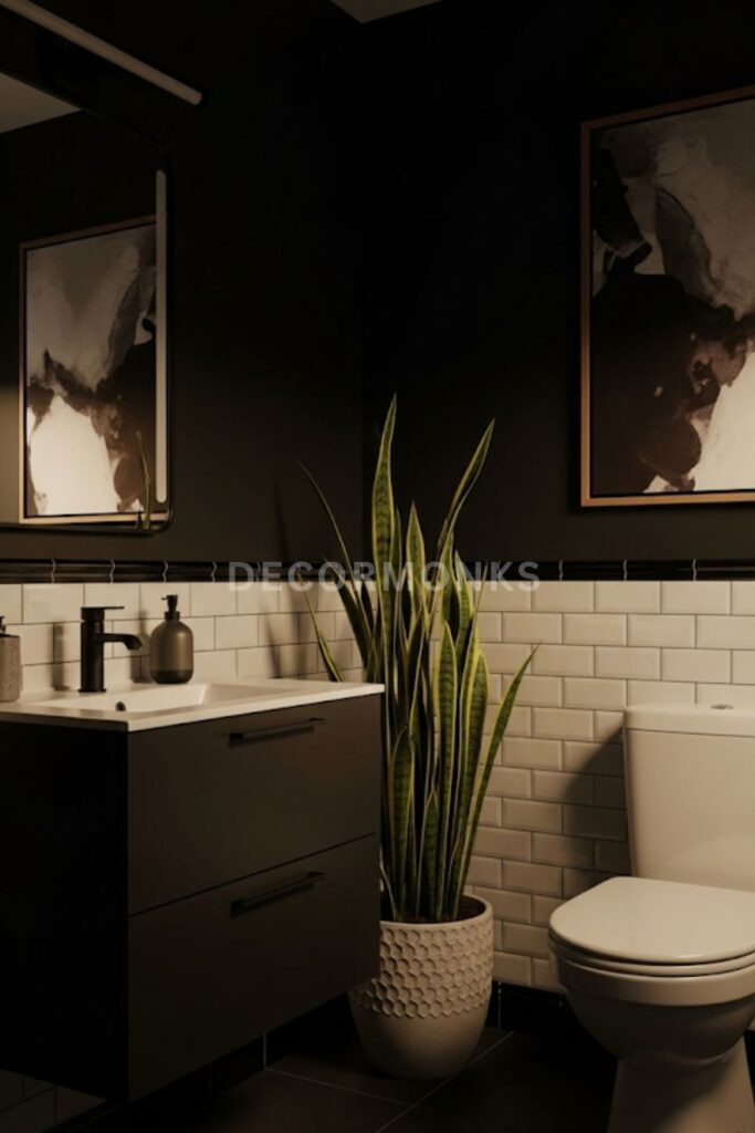 Plants for Contrast and Freshness