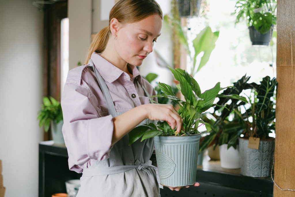 Woman tending to indoor plants wearing apron in cozy home setting.